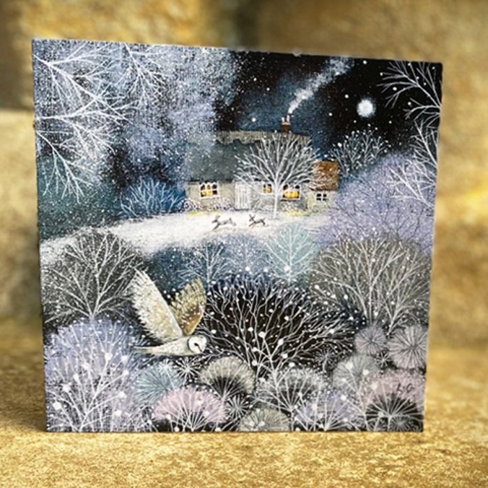 Museums & Galleries Winter Garden Pack of 5 Christmas cards