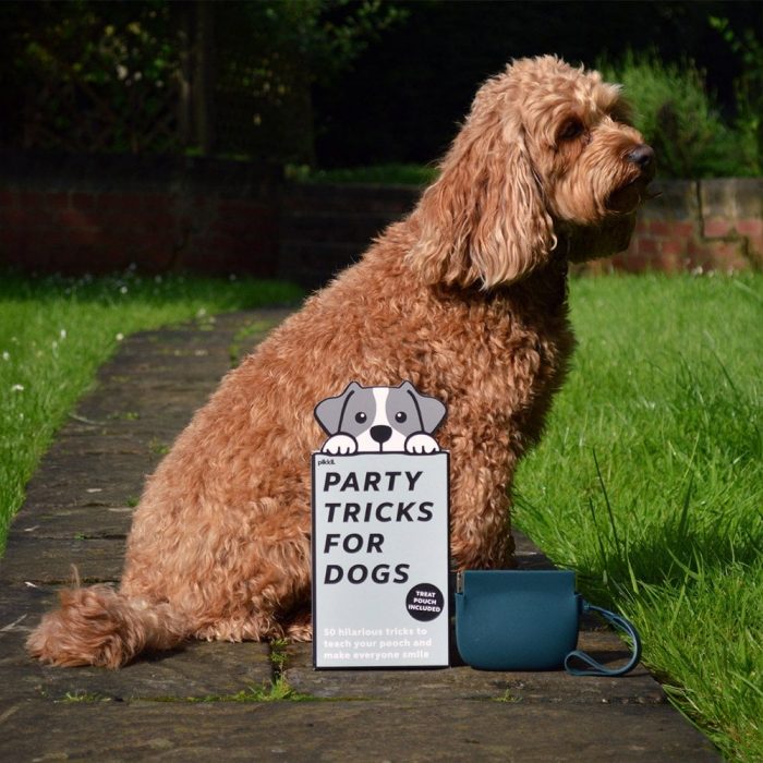 Pikkii
Party Tricks for Dogs