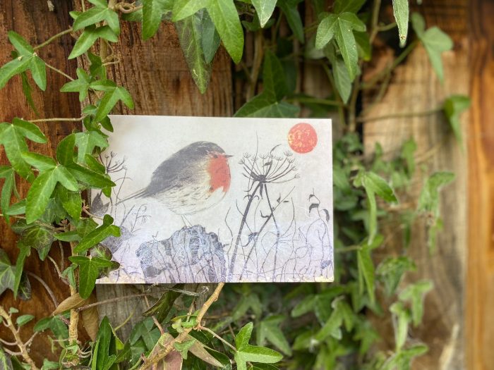 John Austin Publishing
Rachel Sargent Robin Redbreast Pack of 10 Christmas Cards