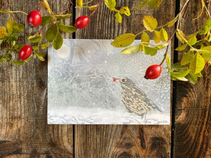 John Austin Publishing
Rachel Sargent The Thrush Pack of 10 Christmas Cards