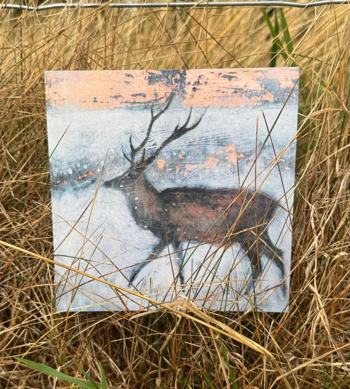 John Austin Publishing
Catherine Hyde Ice Filled Air Pack of 10 Christmas Cards