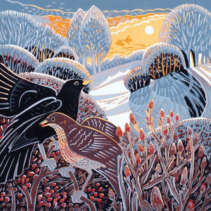 museums galleries winter glow pack of 5 charity christmas cards