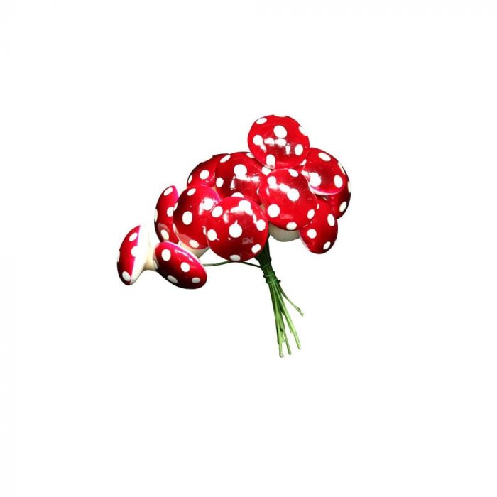 Gisela Graham
Toadstool Pick Bunch