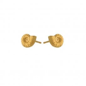 22ct Gold Plated Ammonite Stud Earrings