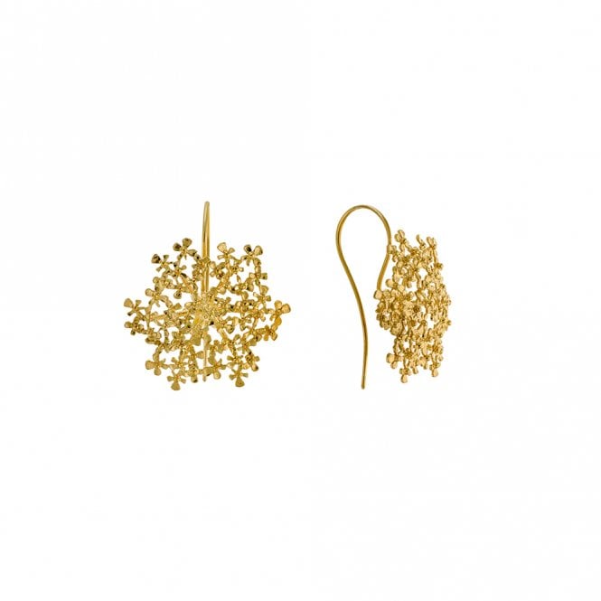 Alex Monroe 22ct Gold Plated Cow Parsley Bloom Hook Earrings