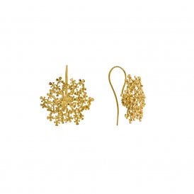 22ct Gold Plated Cow Parsley Bloom Hook Earrings