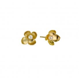 22ct Gold Plated Cuckoo Flower with Pearl Stud Earrings