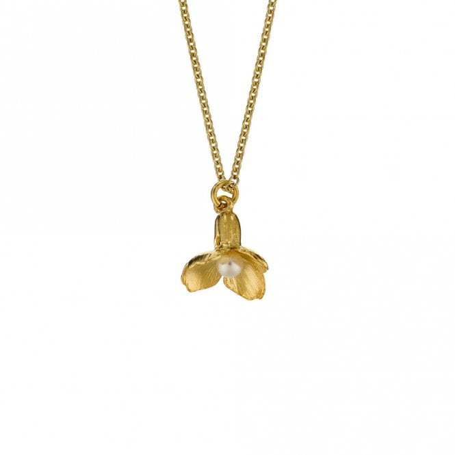 Alex Monroe 22ct Gold Plated & Pearl Cuckoo Flower Necklace