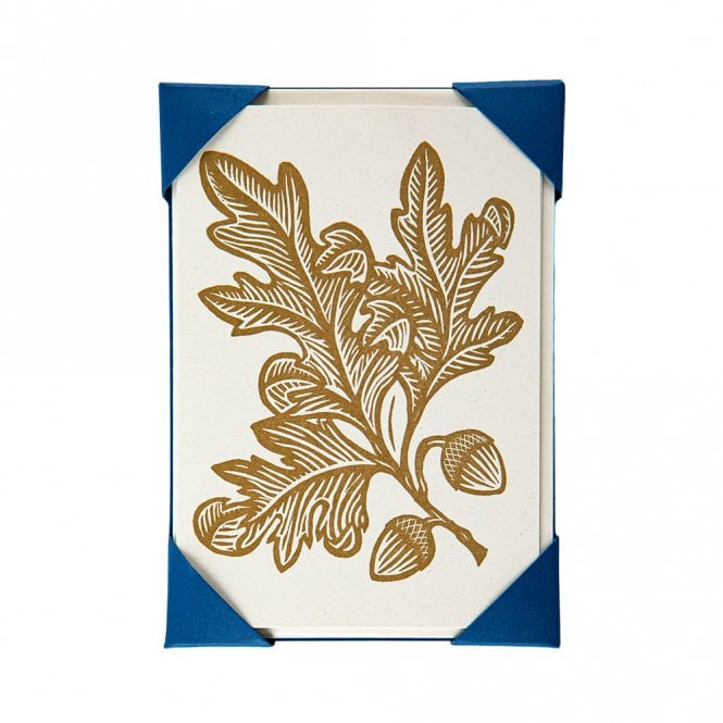 Archivist Acorns Pack of 5 Notecards