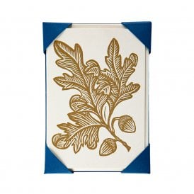Acorns Pack of 5 Notecards