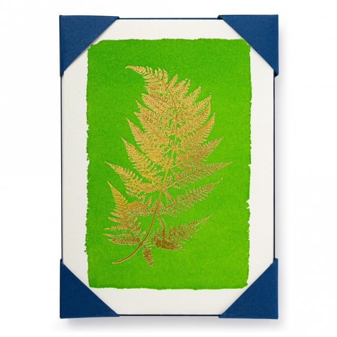 Archivist Fern Pack of 5 Notecards