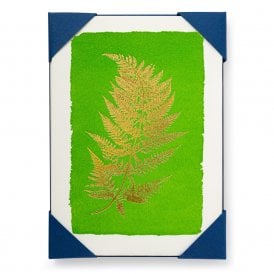 Fern Pack of 5 Notecards