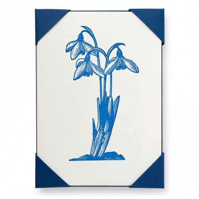 Archivist Snowdrop Pack of 5 Notecards
