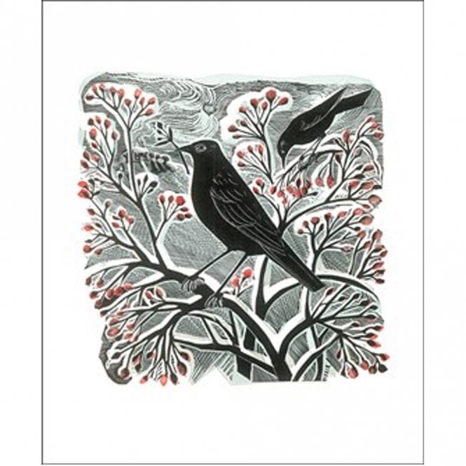Angela Harding  Blackbird & Berries Card