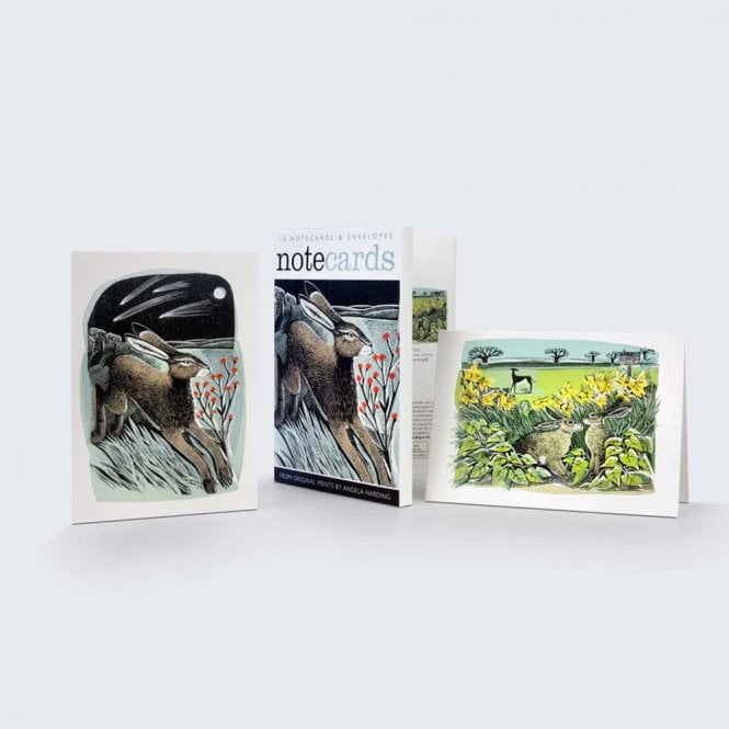 Angela Harding  Hare Shooting Stars / Look Out Notecard Pack