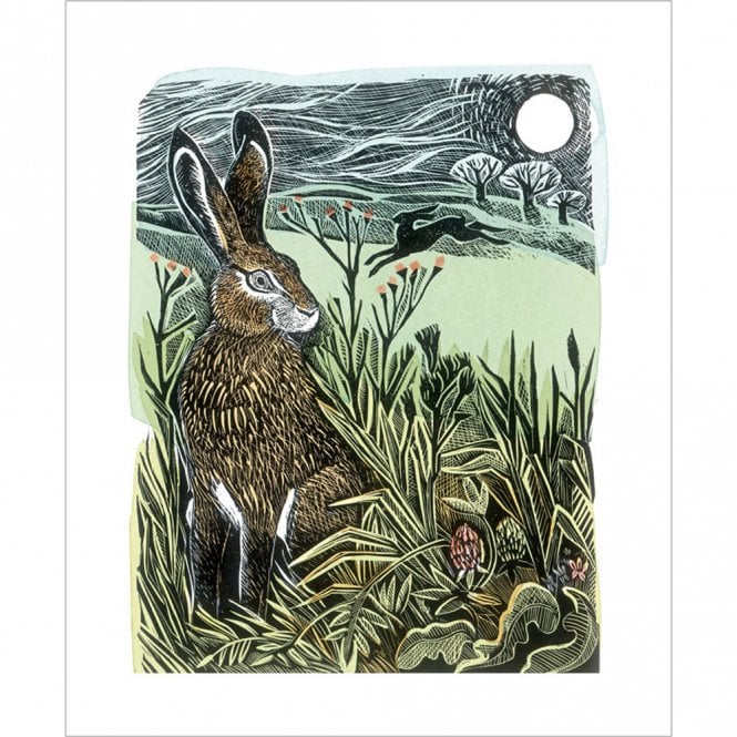Angela Harding  Hidden Hares Card
