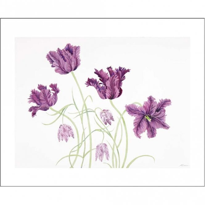 Art Angels Publishing Angie Lewin Parrot Tulips and Fritillaries Card