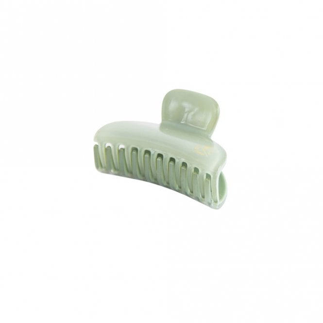 Bachca Paris Sea Green Opaline Small Hair Clip