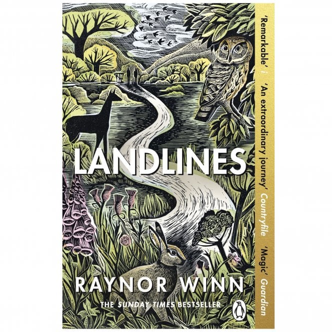 Books Landlines (paperback edition)