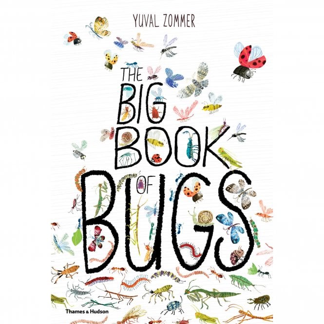 Books The Big Book of Bugs