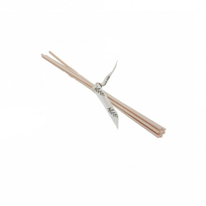 Branche d'Olive Replacement Reeds - Small