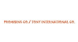 Heishan Tony Gift Co Star with Ginger Cat Hanging Decoration