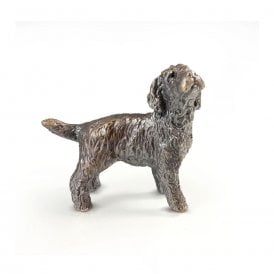 Miniature Bronze Cockapoo
