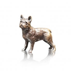 Miniature Bronze French Bulldog 