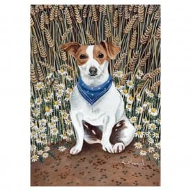 Lucy Almey Bird Little Jack Card