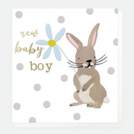 New Baby Boy Rabbit Card