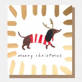 Sausage Dog in a Jumper Pack of 8 Charity Cards