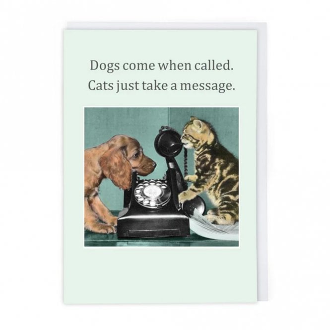 Cath Tate Cards Cats Take a Message Card