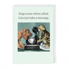 Cats Take a Message Card