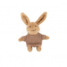 Lenny The Miniature Rabbit