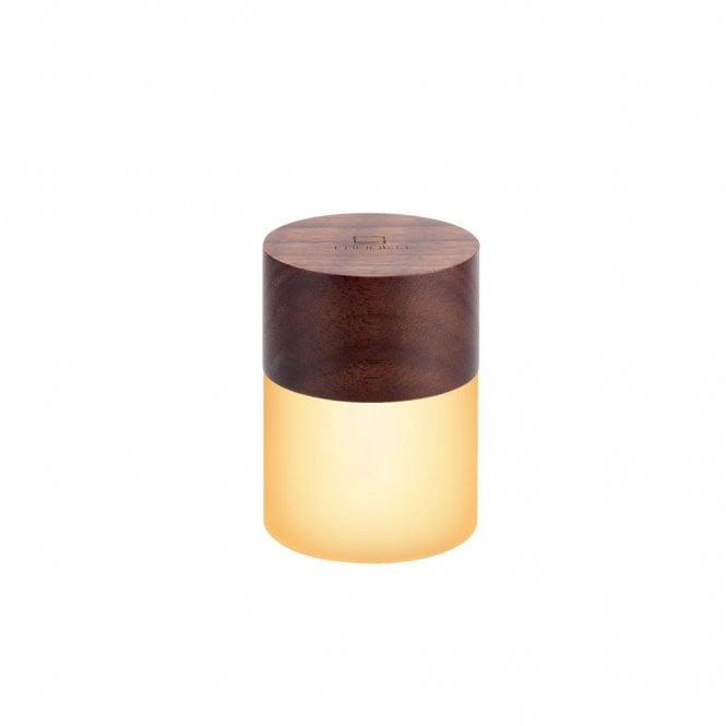 Gingko Design Walnut Lemelia Light