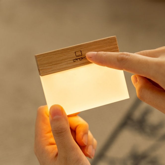 Gingko Design White Ash CuraCheese Night Light