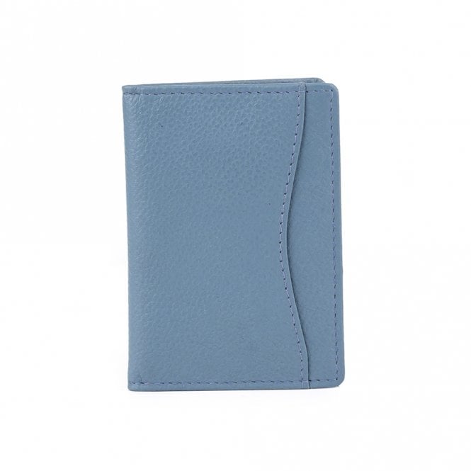 Golunski Ladies Leather Travel Card Holder - Blue