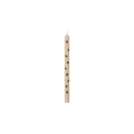 Acorns Taper Candle