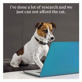 Cannot Afford The Cat Card