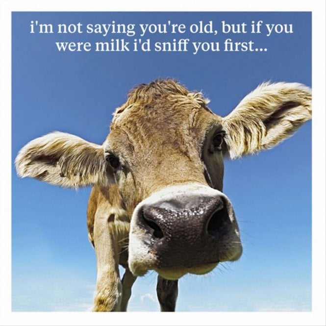 Icon Art If You Were Milk Card