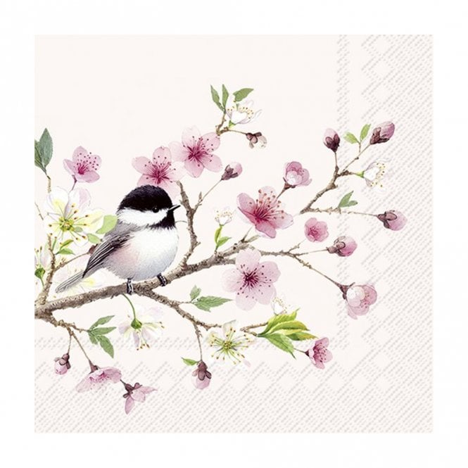 Ideal Home Range Little Birdie Light Rose Cocktail Napkins