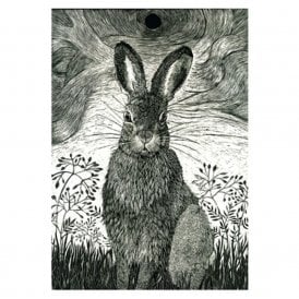 Kay Leverton Hare in the Grass Card