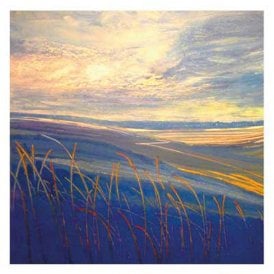 Rachel Sargent A Lark's Sky Card