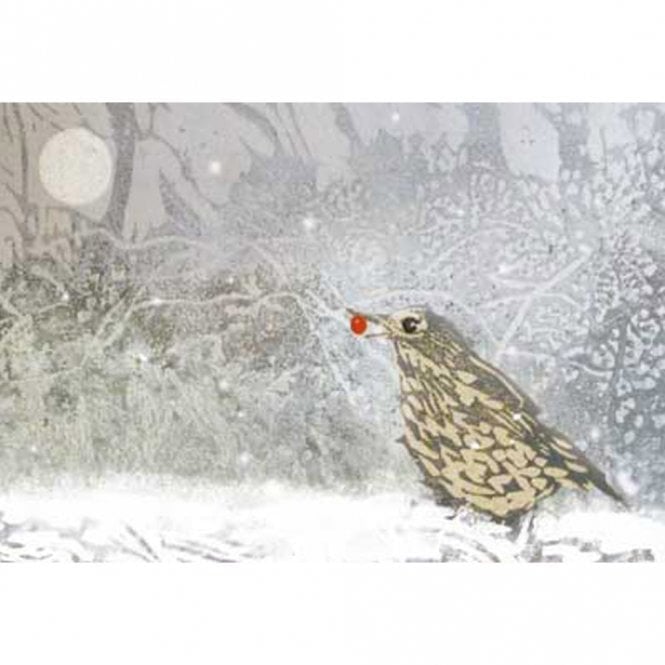 John Austin Publishing Rachel Sargent The Thrush Pack of 10 Christmas Cards