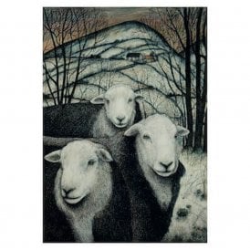 Seren Bell Herdwicks, Winterhills Card