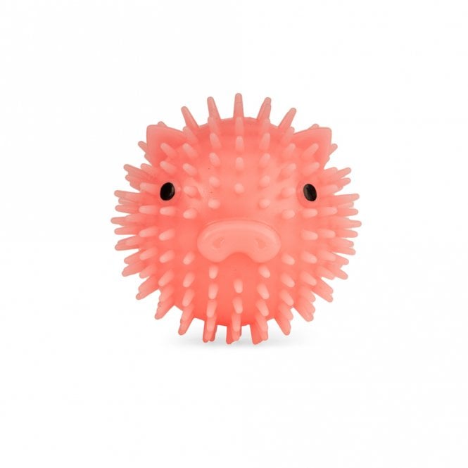 Kikkerland Piggy Bacon Scented Dog Ball