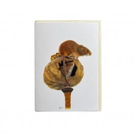 Harvest Mice Card