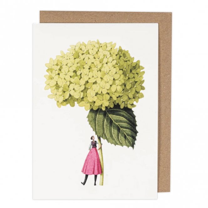 Laura Stoddart Annabelle Hydrangea Greetings Card