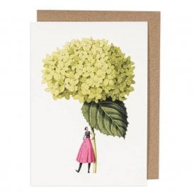 Annabelle Hydrangea Greetings Card