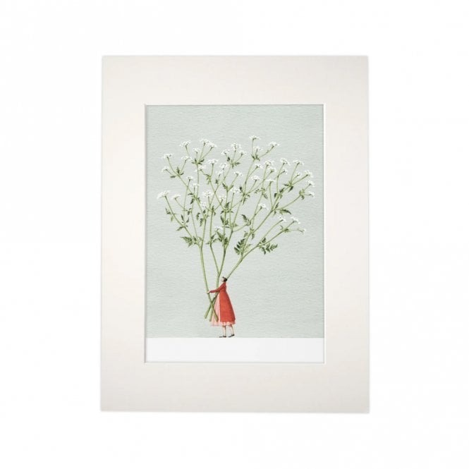 Laura Stoddart Cow Parsley Mounted A4 Print